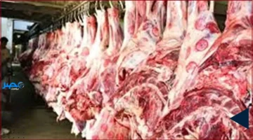 أسعار اللحوم.. تعرف على تكلفة البتلو والكندوز اليوم الأحد 5 أكتوبر 2025